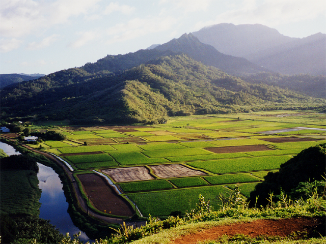 Ladang Indah